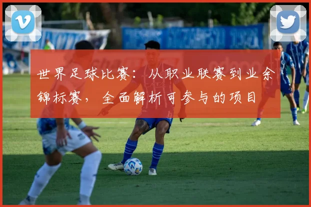 世界足球比赛：从职业联赛到业余锦标赛，全面解析可参与的项目